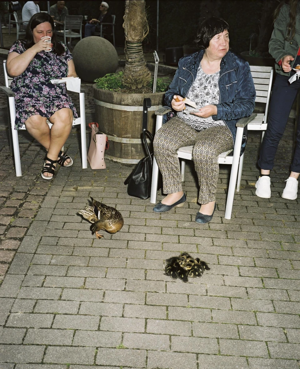 Biodiversity for Autre Magazine