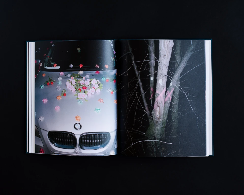 Humpelfuchs, Book