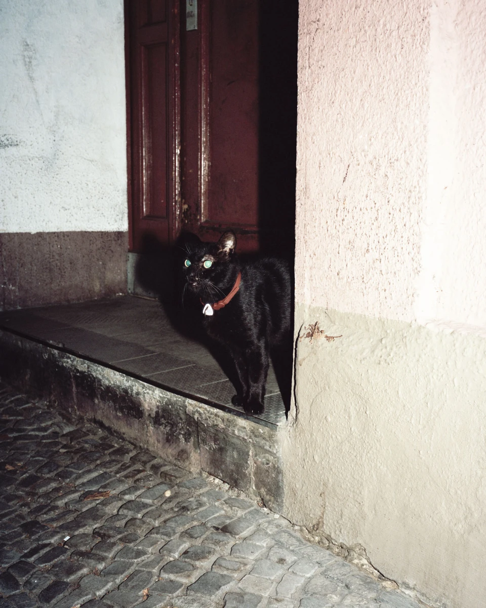 Humpelfuchs, Book