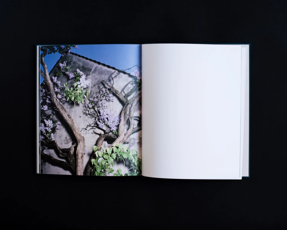 Humpelfuchs, Book