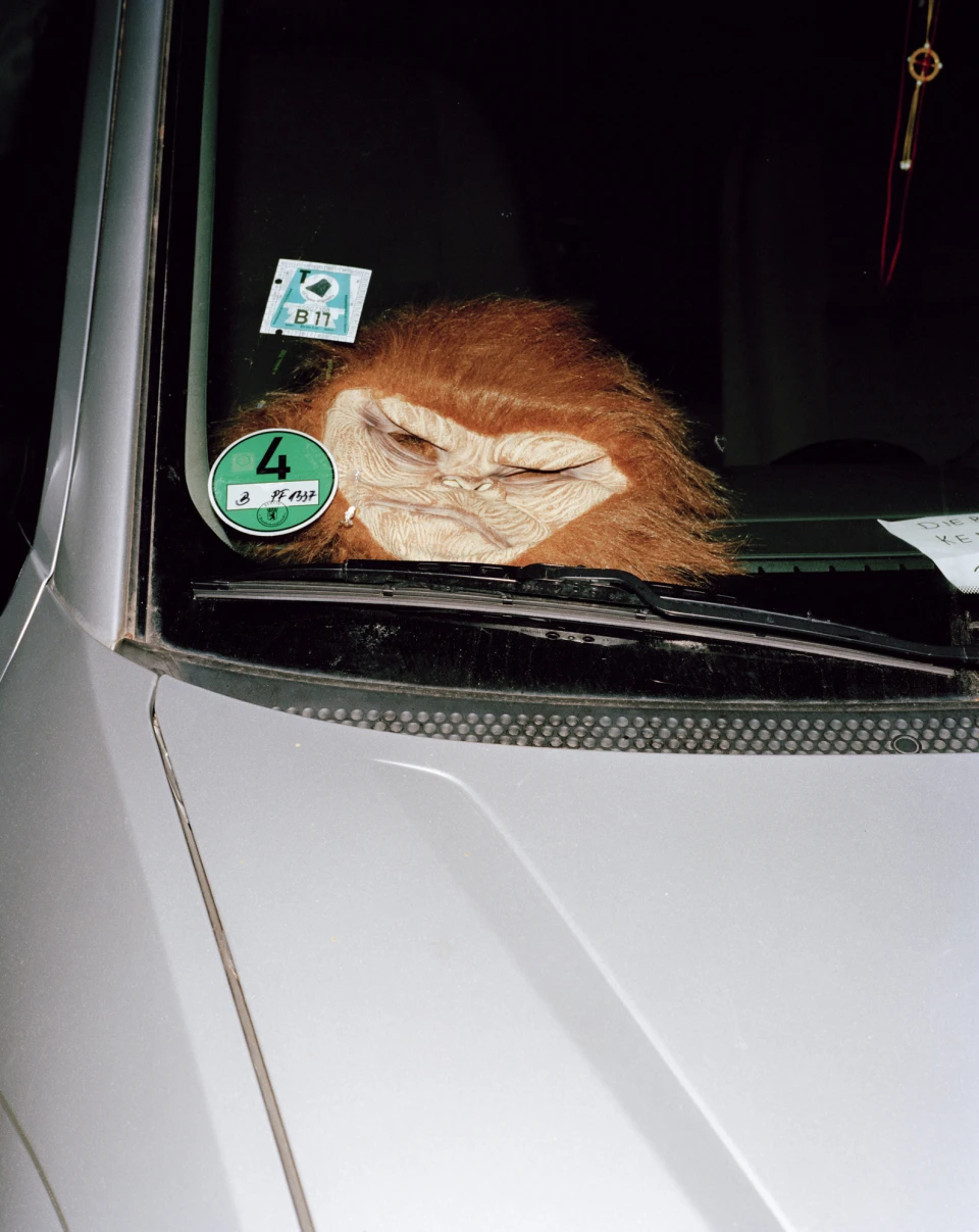 Humpelfuchs, Book