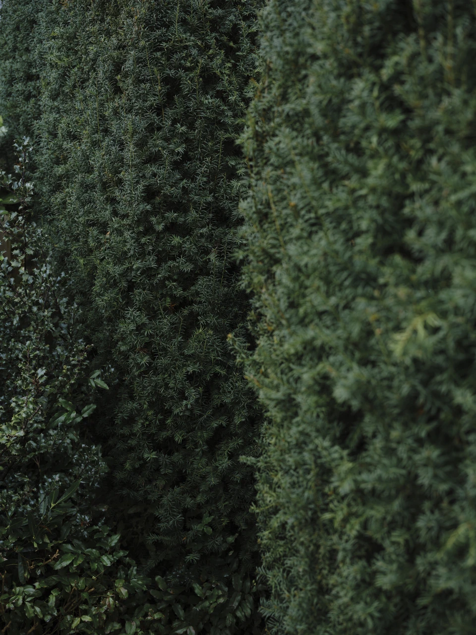 Thilo Sarrazin for ZEIT Magazin